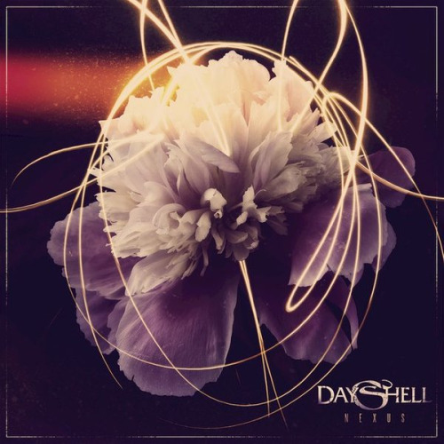 Dayshell 5